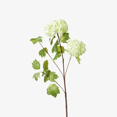 OKA OKA, Faux Snowball Viburnum Branch - Green, Floral Stems, Fabric/Plastic