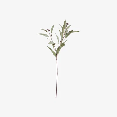 OKA OKA, Faux Gumnut Eucalyptus Stem - Pale Green, Floral Stems, Plastic/Steel