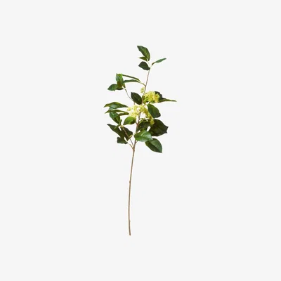 OKA Faux Viburnum Branch - Green