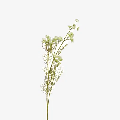 OKA OKA, Faux Queen Anne's Lace Stem - White, Faux Flower Stem