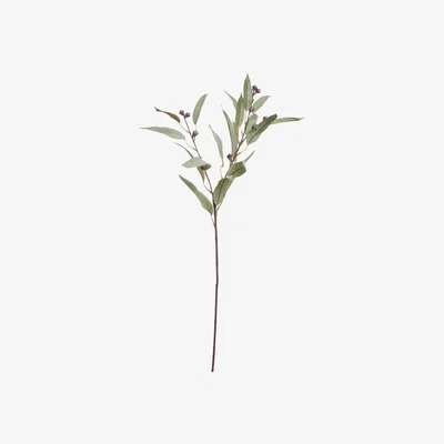 OKA Faux Gumnut Eucalyptus Stem - Pale Green