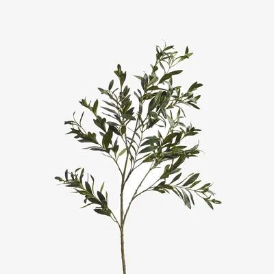 OKA OKA, Faux Large Olive Branch - Green, Faux Flower Stem