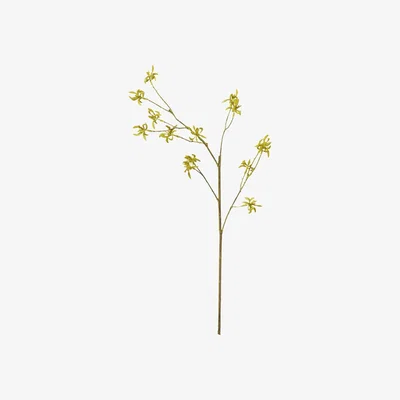OKA OKA, Faux Maple Bud Branch - Green, Floral Stems, Fabric/Plastic