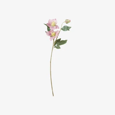 OKA OKA, Faux Hellebore Stem - Pink, Floral Stems, Fabric/Plastic