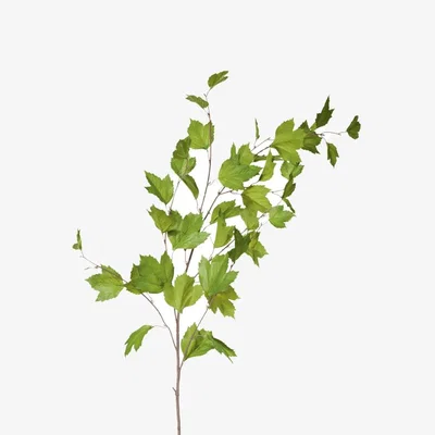 OKA OKA, Faux Sycamore Leaves - Green, Floral Stems, Fabric/Plastic