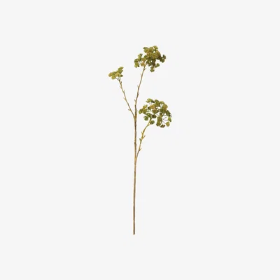 OKA Faux Sedum Stem - Green