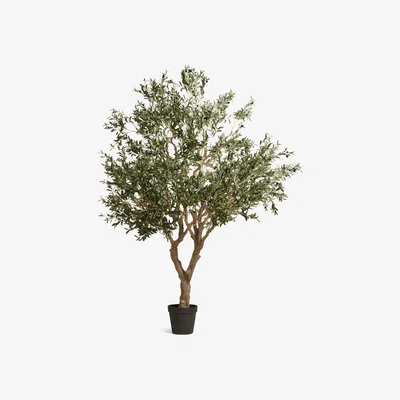 OKA Faux Potted Olive Tree, Extra Large - Black