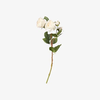 OKA Faux Rose Stem - Flushed Cream