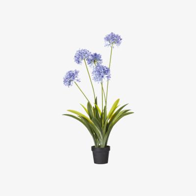 OKA OKA, Faux Agapanthus Plant - Purple, Artificial Plants, Bamboo