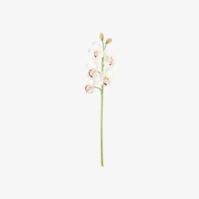 OKA Faux Cymbidium Orchid Stem - White