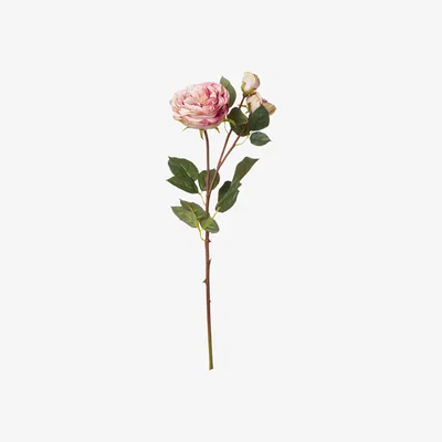 OKA Faux Rose Stem - Pale Pink
