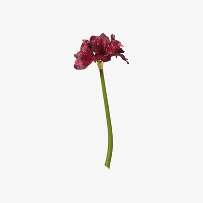 OKA OKA, Faux Amaryllis Stem - Red, Floral Stems, Fabric/Plastic
