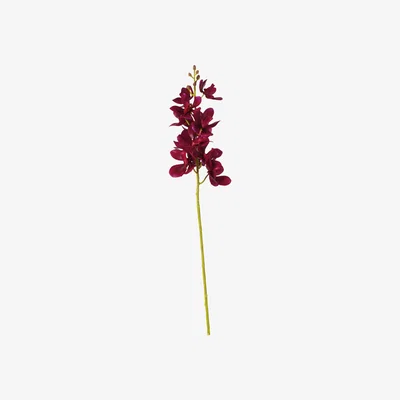 OKA Faux Phalaenopsis Orchid - Purple