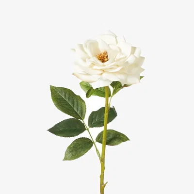 OKA OKA, Faux Winchester Cathedral Rose Stem - White, Faux Flower Stem