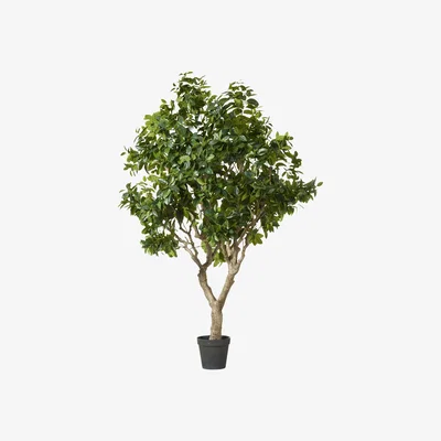 OKA Extra Large Faux Fiddle Tree - Green