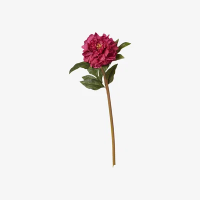 OKA Faux Peony Stem - Fuchsia