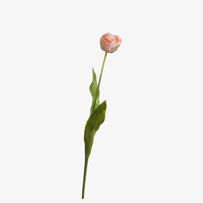 OKA OKA, Faux Tulip Stem - Pink, Faux Flower Stem