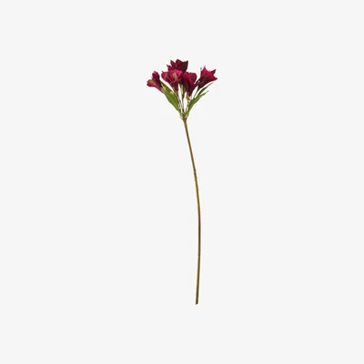 OKA OKA, Faux Lily of the Incas Stem - Burgundy, Floral Stems, Fabric/Plastic