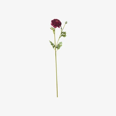 OKA Faux Ranunculus Stem - Crimson