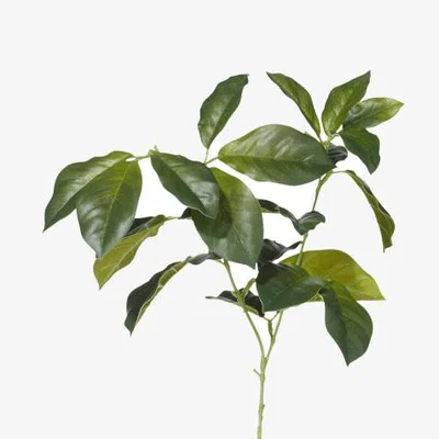 OKA OKA, Faux Laurel Leaves Stem - Green, Floral Stems, Fabric/Plastic