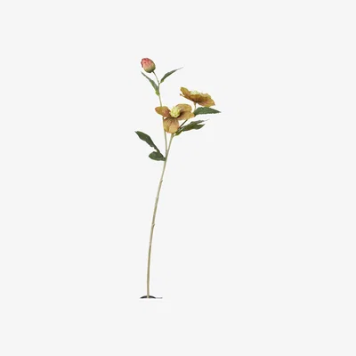 OKA Faux Hellebore Stem - Green