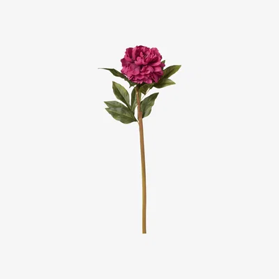 OKA OKA, Faux Camellia Stem - Dark Pink, Floral Stems, Fabric/Plastic