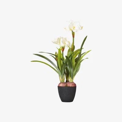 OKA Faux Potted Amaryllis Plant - White