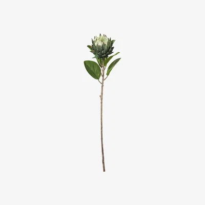 OKA Faux Protea Stem - White