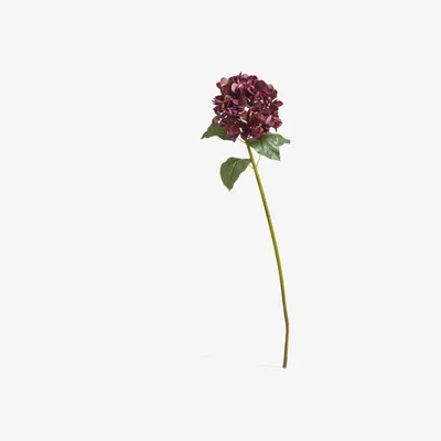 OKA OKA, Faux Mophead Hydrangea Stem - Purple, Floral Stems, Iron/Plastic