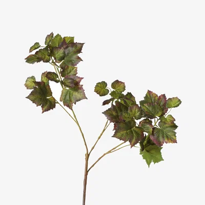 OKA OKA, Single Grape Leaf Stem - Large - Multi, Faux Flower Stem
