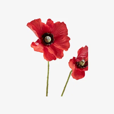 OKA OKA, Faux Poppy Stem - Red, Faux Flower Stem
