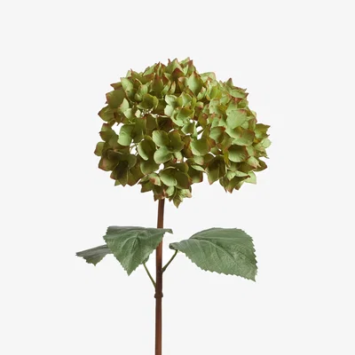 OKA OKA, Faux Mophead Hydrangea Stem - Green, Faux Flower Stem