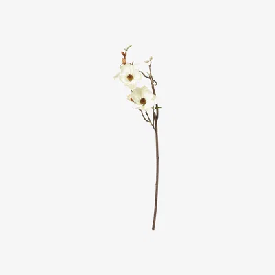 OKA Faux Magnolia Branch - Cream