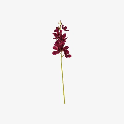 OKA OKA, Faux Phalaenopsis Orchid - Purple, Artificial Plants, Fabric/Plastic