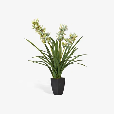 OKA OKA, Faux Cymbidium Orchid with Narrow Vase - Green, Faux Plant