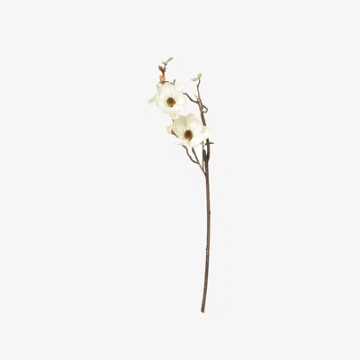 OKA OKA, Faux Magnolia Branch - Cream, Floral Stems, Fabric/Plastic
