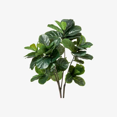 OKA OKA, Faux Fiddle Plant - Medium - Green, Faux Plant