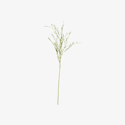 OKA Faux Foxtail Stem - Cream
