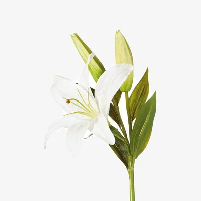 OKA OKA, Faux Casablanca Lily Stem - White, Faux Flower Stem