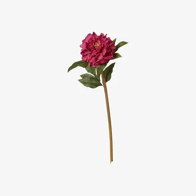 OKA OKA, Faux Peony Stem - Fuchsia, Floral Stems, Plastic/Steel