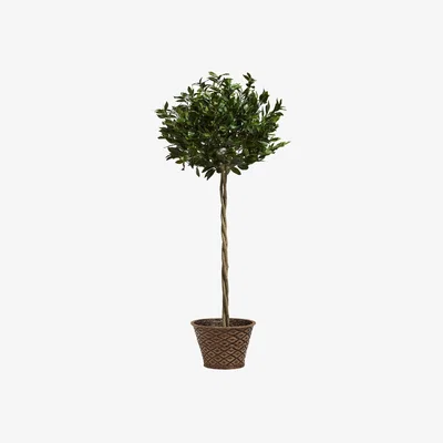 OKA Large Faux Bay Tree - Green