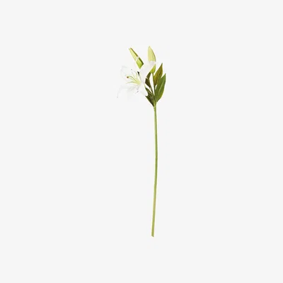 OKA Faux Casablanca Lily Stem - White