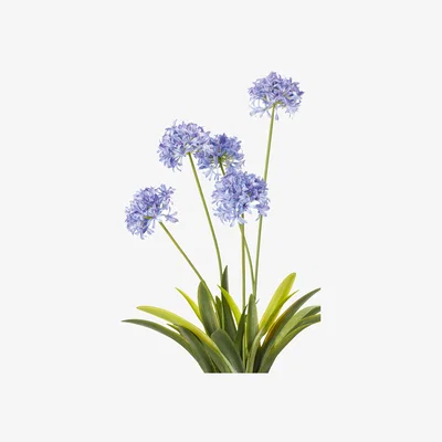 OKA OKA, Faux Agapanthus Plant - Purple, Faux Plant