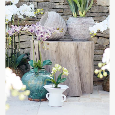 OKA OKA, Faux Mini Orchid - Green, Faux Plant