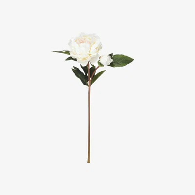 OKA OKA, Faux Full Peony Stem - Flushed Cream, Floral Stems, Fabric/Plastic