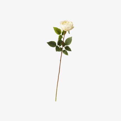 OKA OKA, Faux Juno Old Fashioned Rose Stem - Cream, Floral Stems, Fabric/Plastic