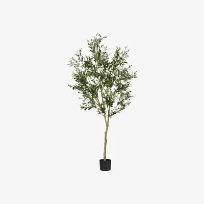 OKA Faux Large Potted Olive Tree - Black