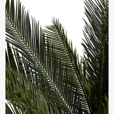 OKA OKA, Short Faux Potted Palm Tree - Green, Faux Tree