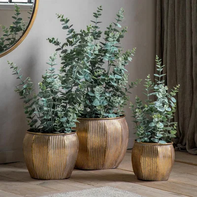 Olivia's Gallery Interiors Potted Eucalyptus Bush Green Medium