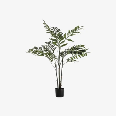 Olivia's Gallery Direct Areca Palm Tree Black Planter / Small